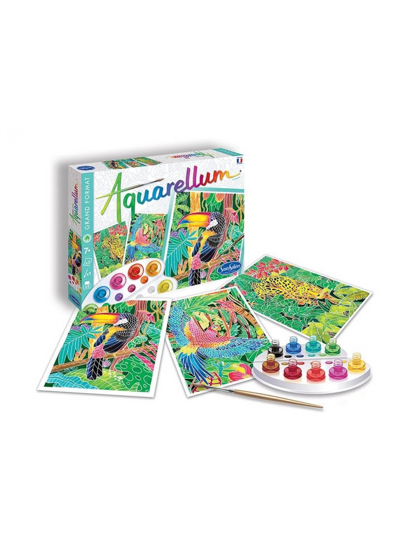 AQUARELLUM AMAZONAS
