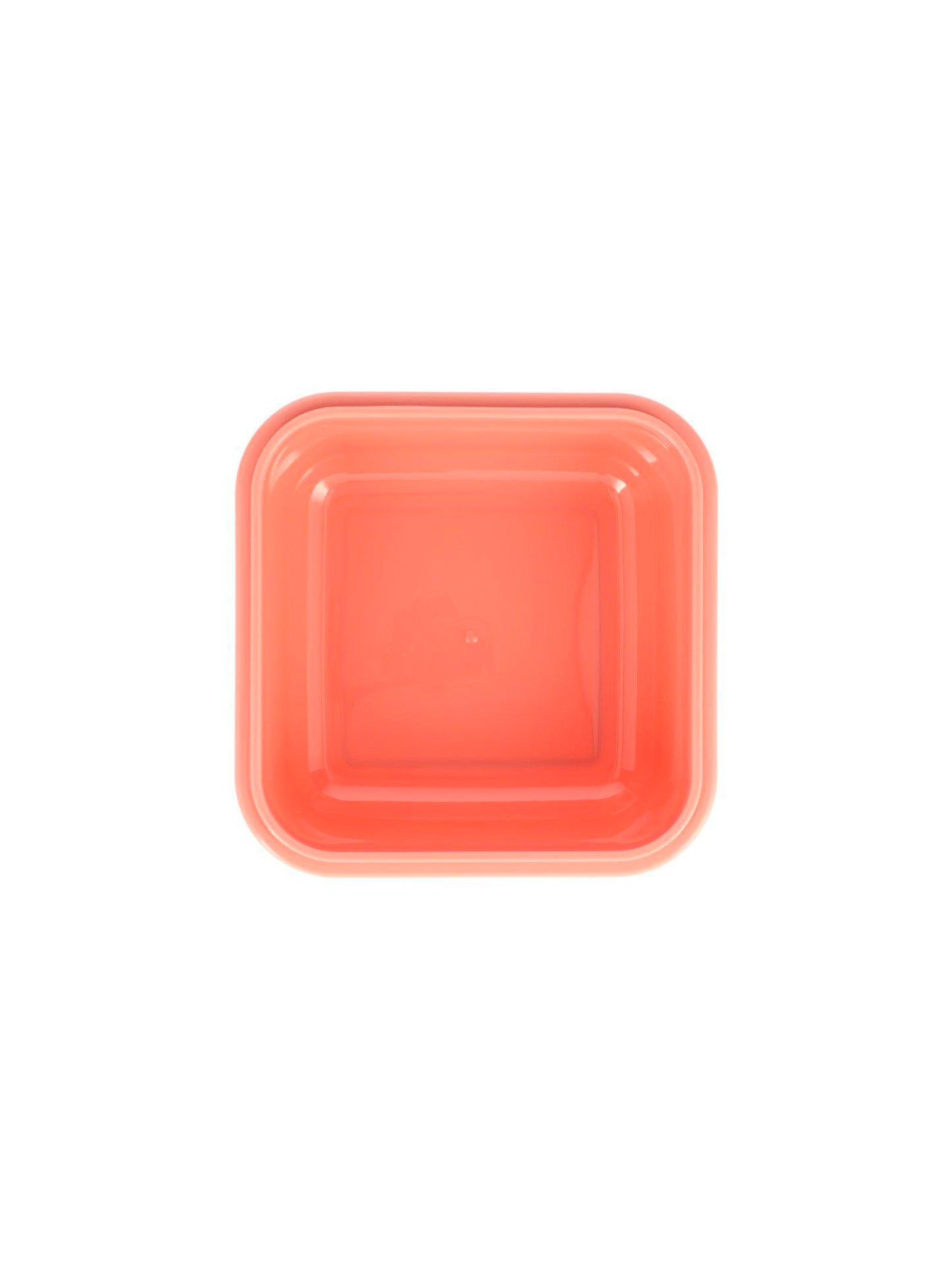 TUPPER-CAJA ALMUERZO GRANDE WILD FAIRIES Tutete KIDSME