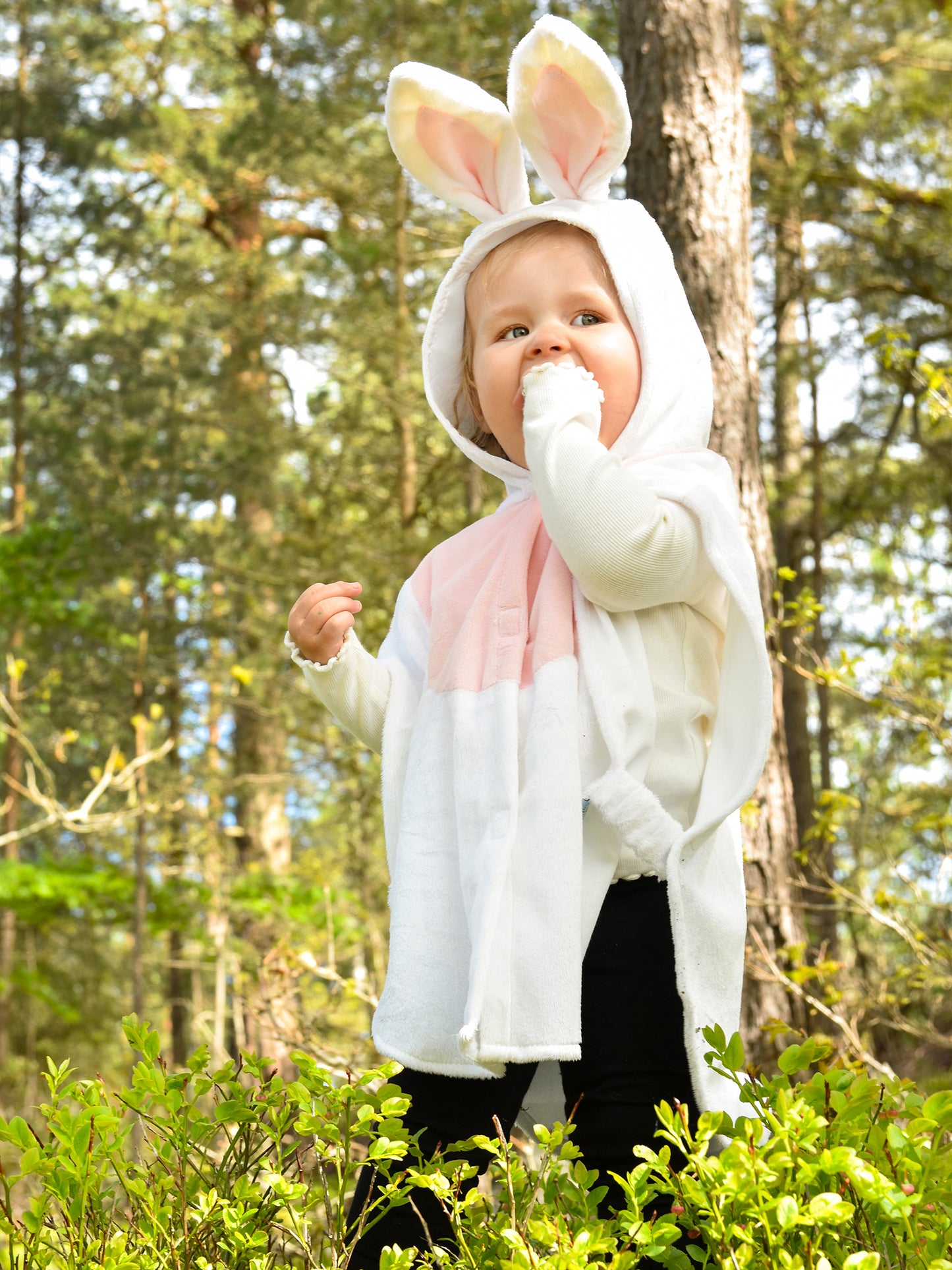 RABBIT COSTUME 