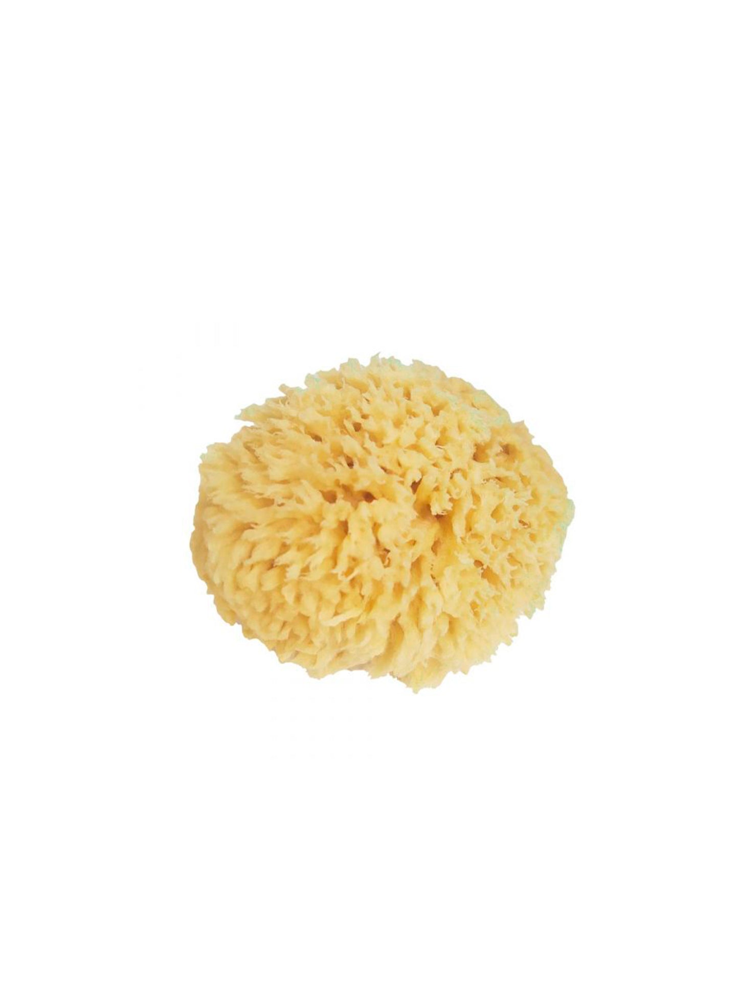 ESPONJA NATURAL The Dida Bath KIDSME
