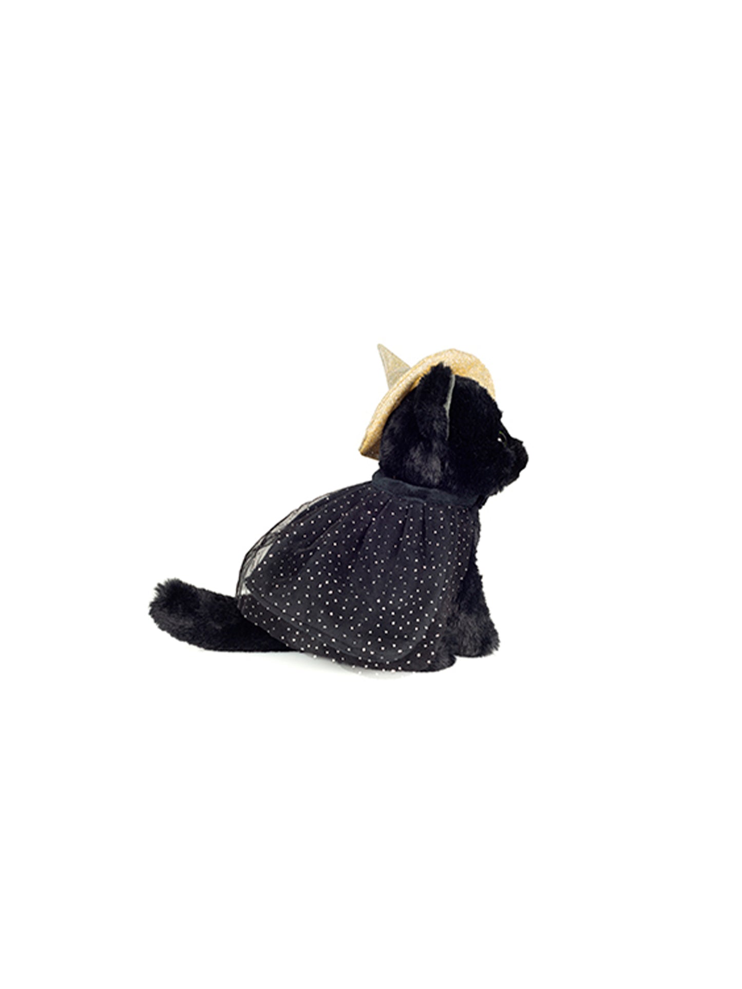 GATO CON CAPA HALLOWEEN