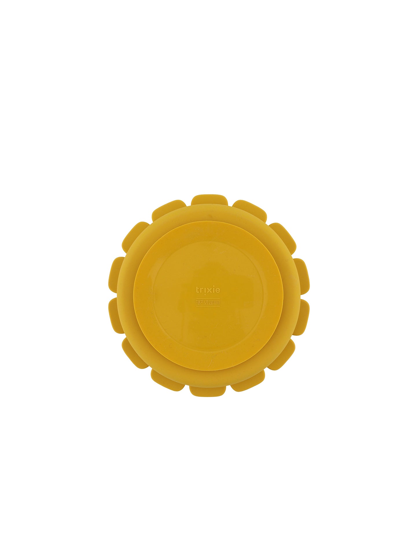 PLATO CON VENTOSA LION