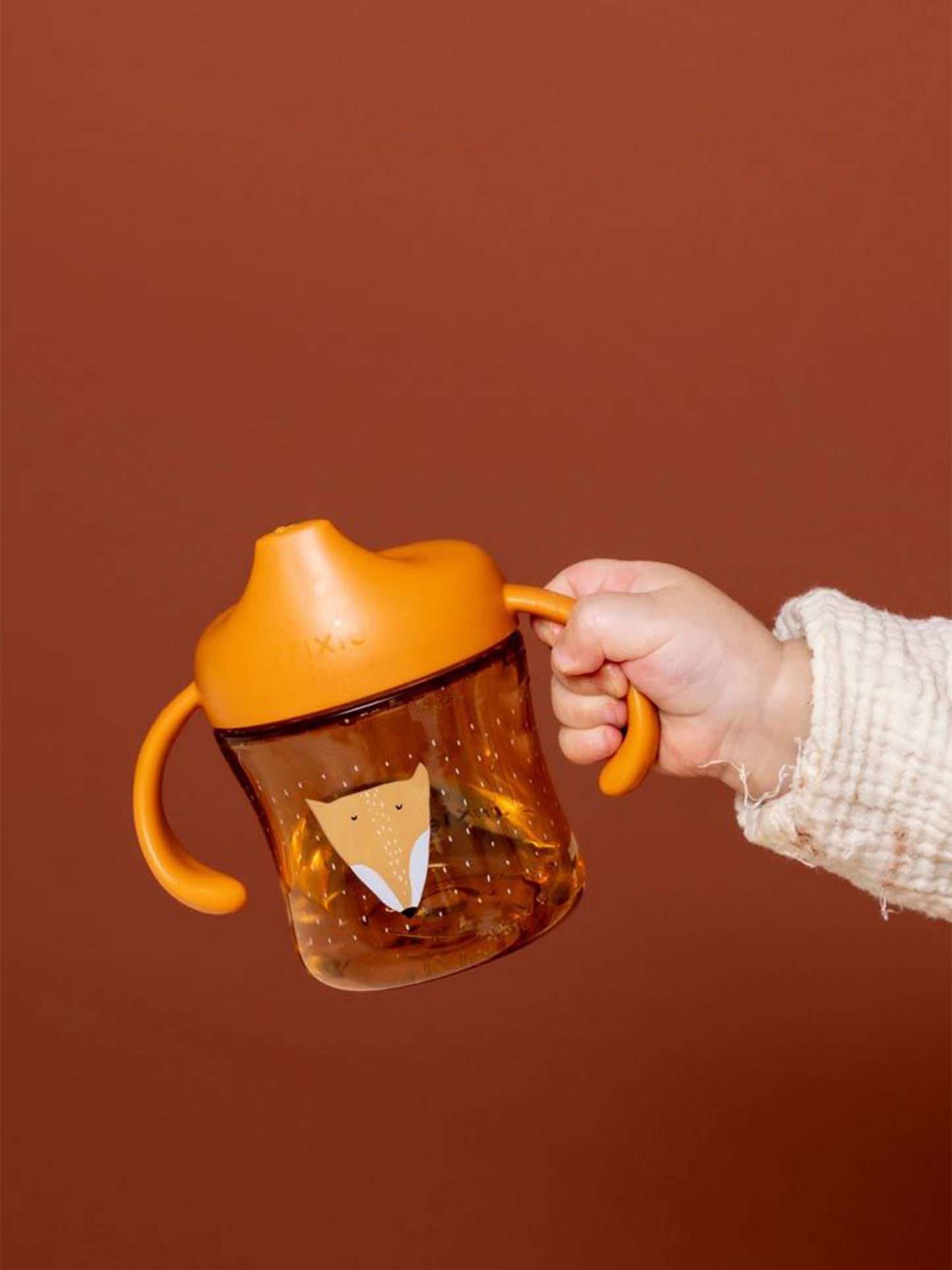 TAZA APRENDIZAJE MR. FOX
