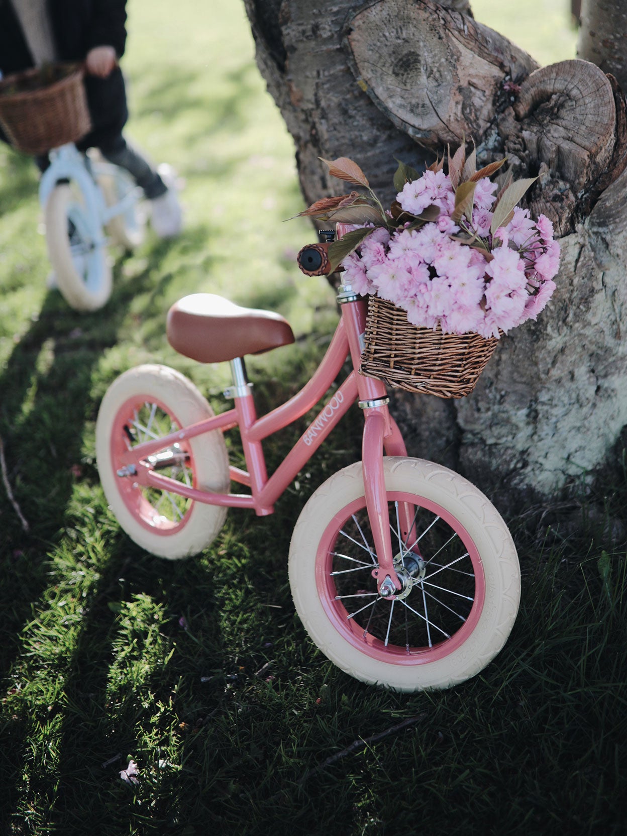 BICICLETA APRENDIZAJE CORAL Banwood KIDSME