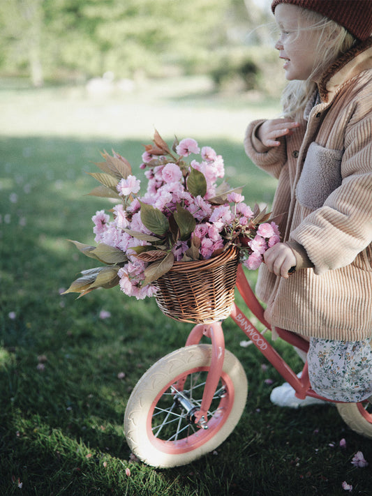BICICLETA APRENDIZAJE CORAL Banwood KIDSME