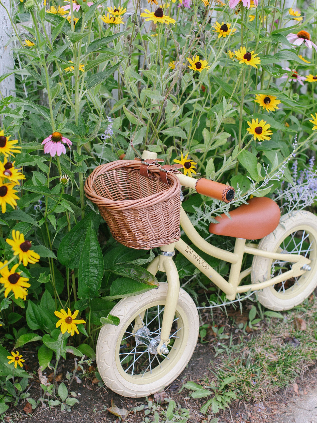 BICICLETA APRENDIZAJE CREAM Banwood KIDSME
