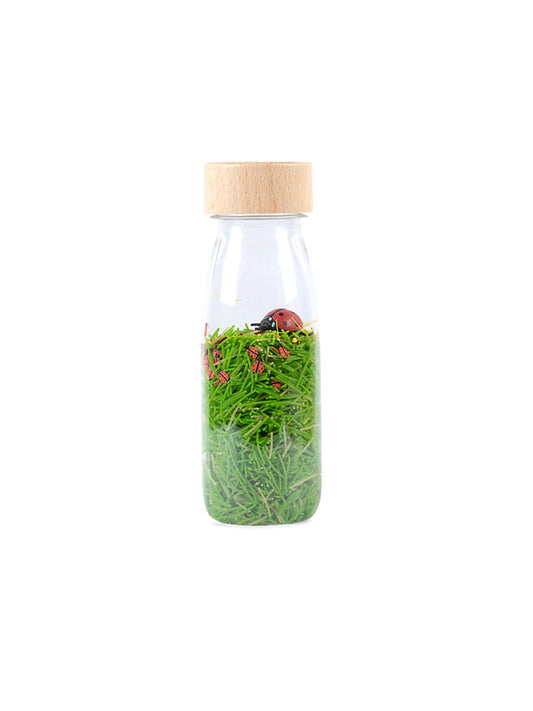 BOTELLA SENSORIAL LADYBIRD Petit Boum KIDSME